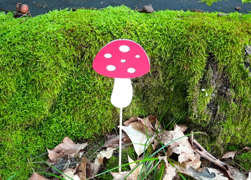 Sada zápichů mochomůrka