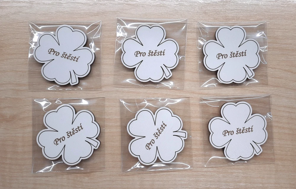 Magnetka čtyřlístek