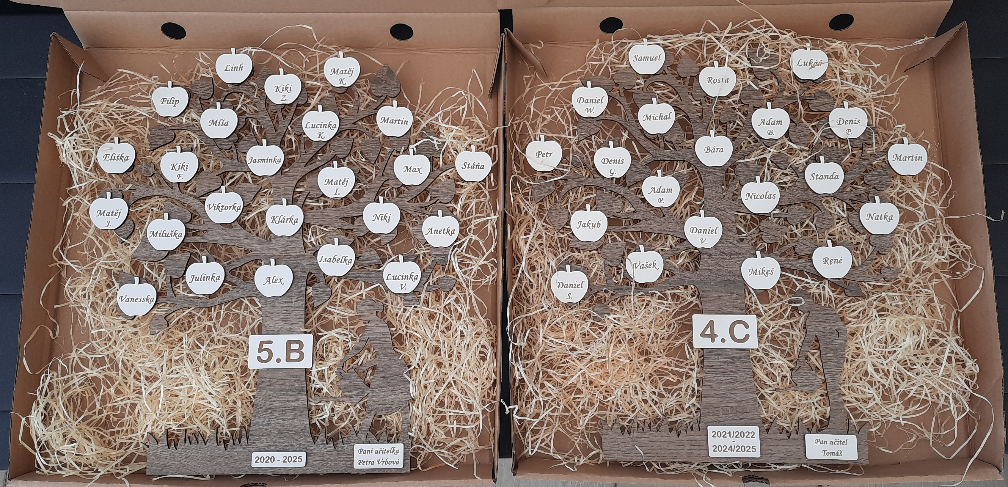 Strom pro paní učitelku nebo učitele