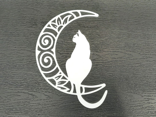 Kočka a měsíc