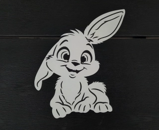 Zajíc