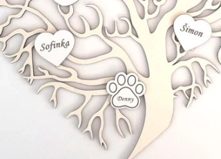 Přídavné srdíčko se jménem (Pouze k Rodinnému stromu)